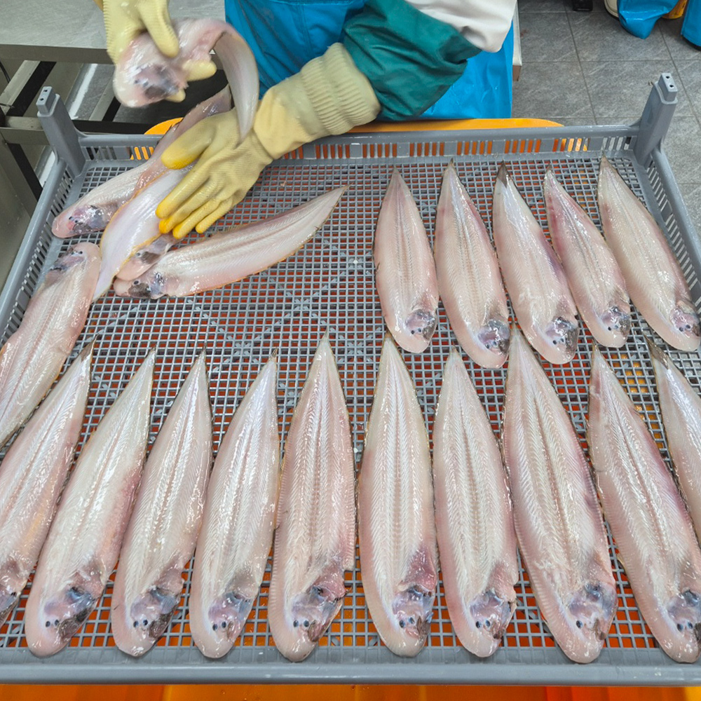군산 반건조 박대 특대 사이즈 5미 10미 손질완료 개별 진공포장