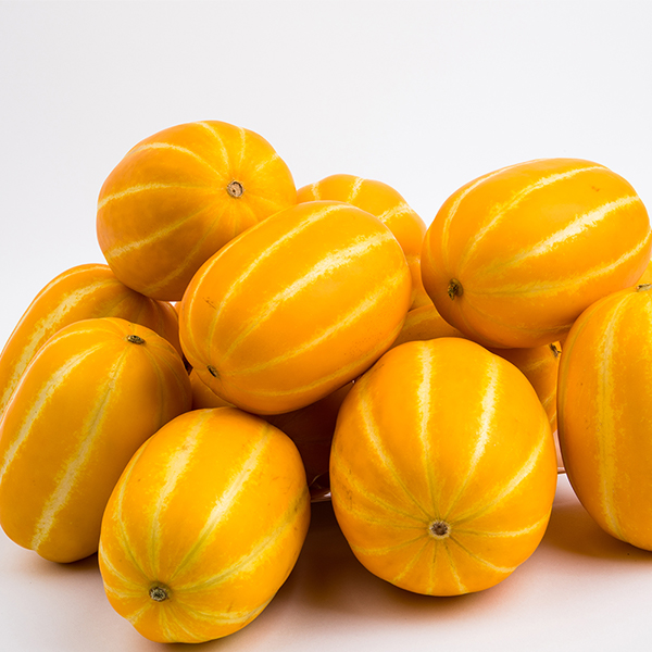 [햇땅] 산지직송 성주 참외 못난이랜덤 가정용 정품 2kg 3kg 고당도