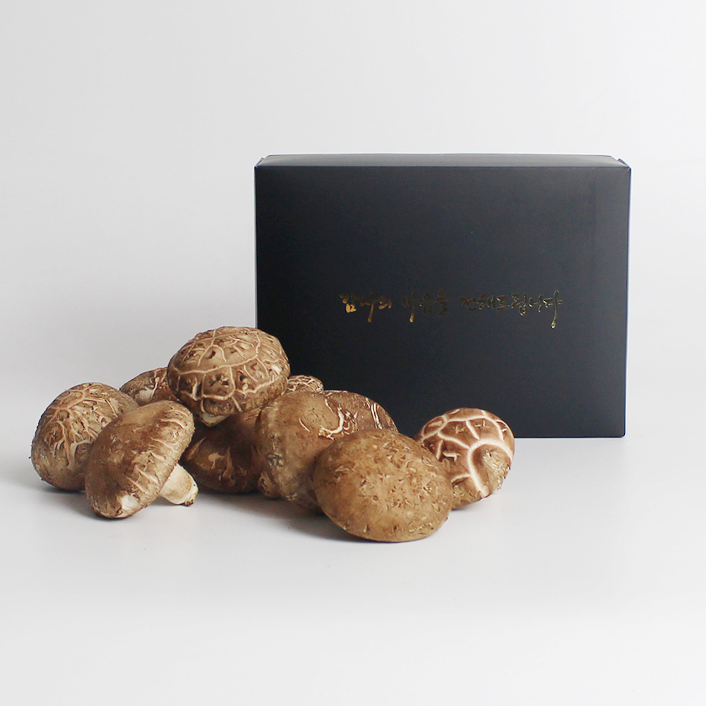 예산청년농부의 GAP 무농약 생표고버섯 선물세트 1kg / 2kg 직접재배 무농약표고버섯