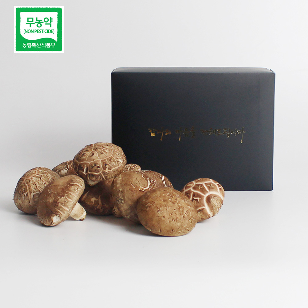 예산청년농부의 무농약 생표고버섯 선물세트 1kg / 2kg 직접재배 무농약표고버섯 대표이미지 섬네일