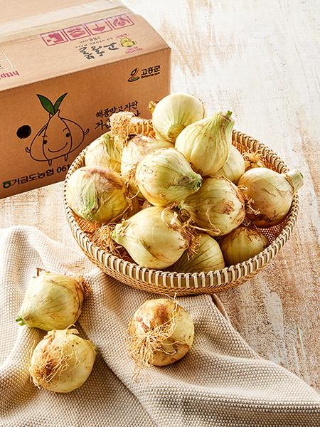 [햇상품] 고흥 조생양파