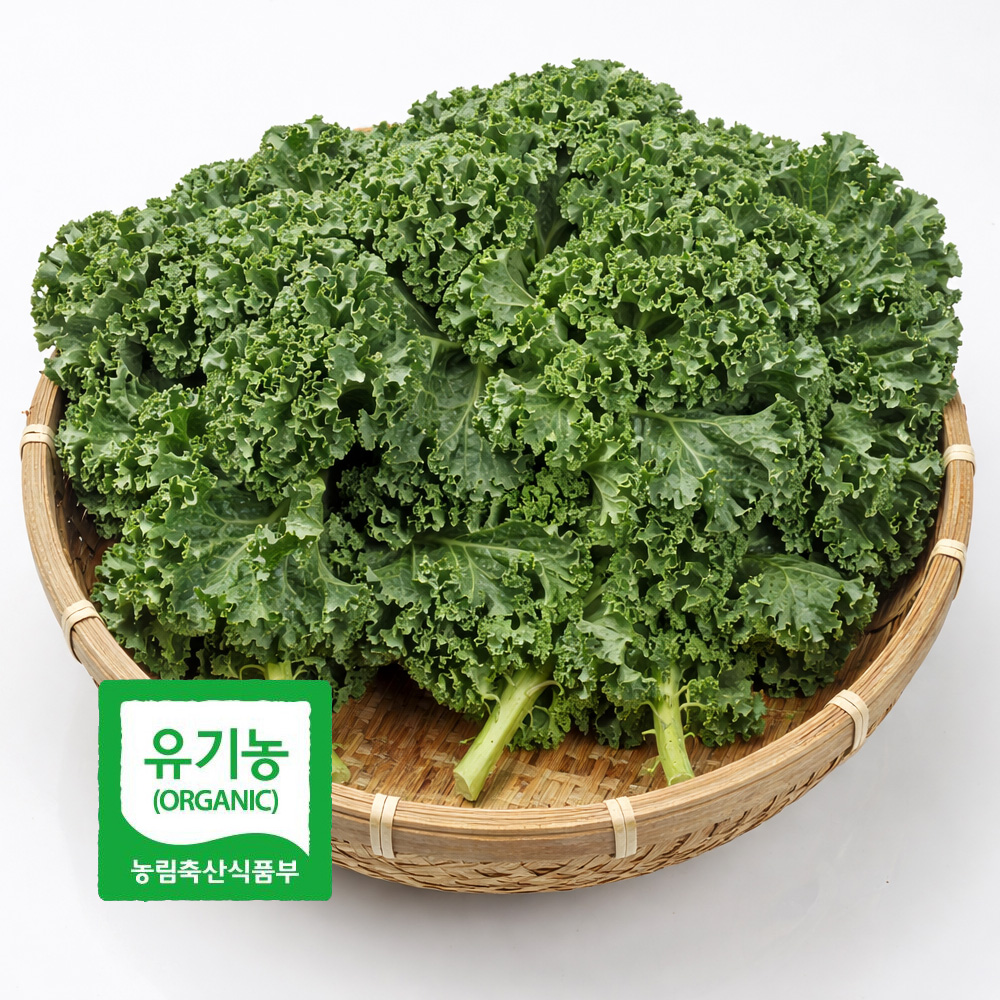 초록초록팜 국내산 유기농 곱슬 케일 2kg 3kg 신선채소 산지직송 샐러드용 즙용 건강 야채 친환경 ZU