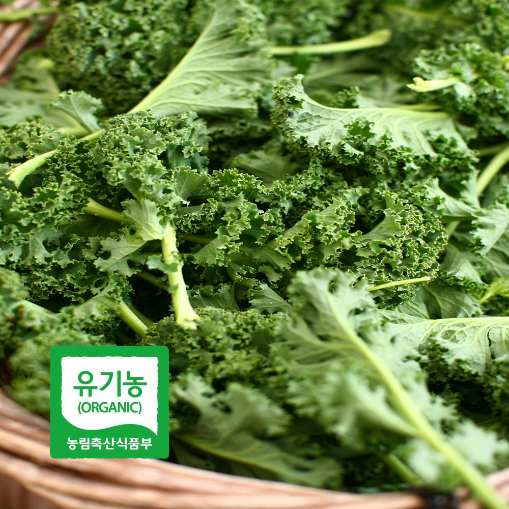 초록초록팜 국내산 유기농 곱슬 케일 2kg 3kg 신선채소 산지직송 샐러드용 즙용 건강 야채 친환경 ZU