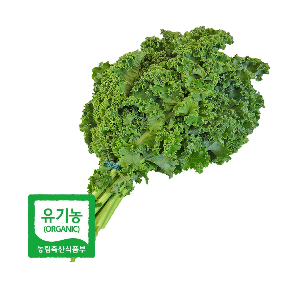 초록초록팜 국내산 유기농 곱슬 케일 2kg 3kg 신선채소 산지직송 샐러드용 즙용 건강 야채 친환경 ZU