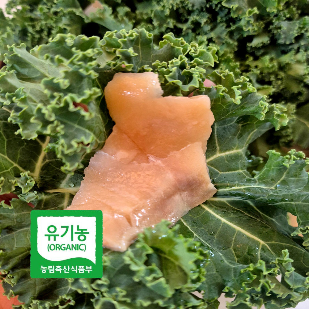 초록초록팜 국내산 유기농 곱슬 케일 2kg 3kg 신선채소 산지직송 샐러드용 즙용 건강 야채 친환경 ZU