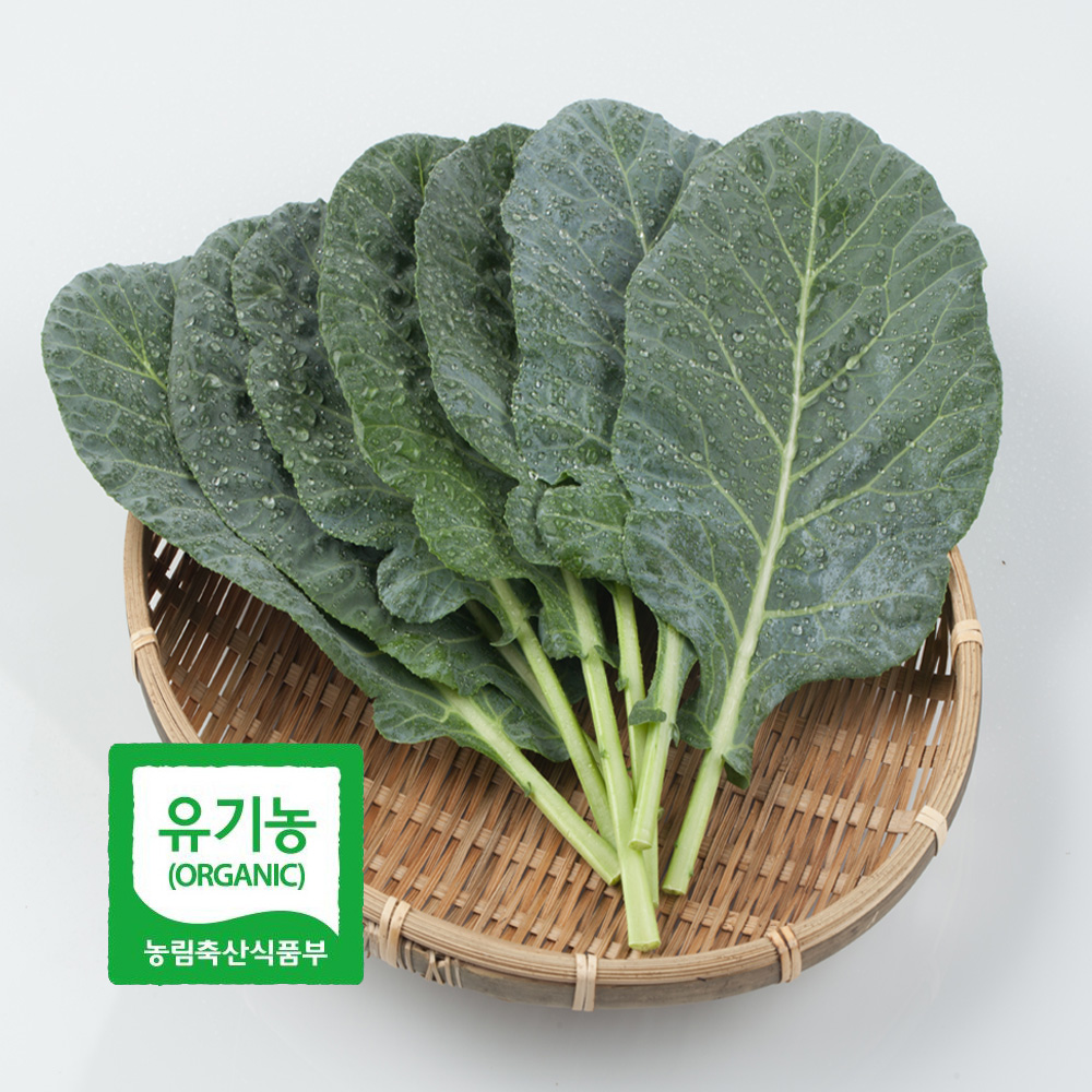 초록초록팜 국내산 유기농 케일 2kg 3kg 신선채소 산지직송 샐러드용 즙용 건강 야채 친환경 ZU