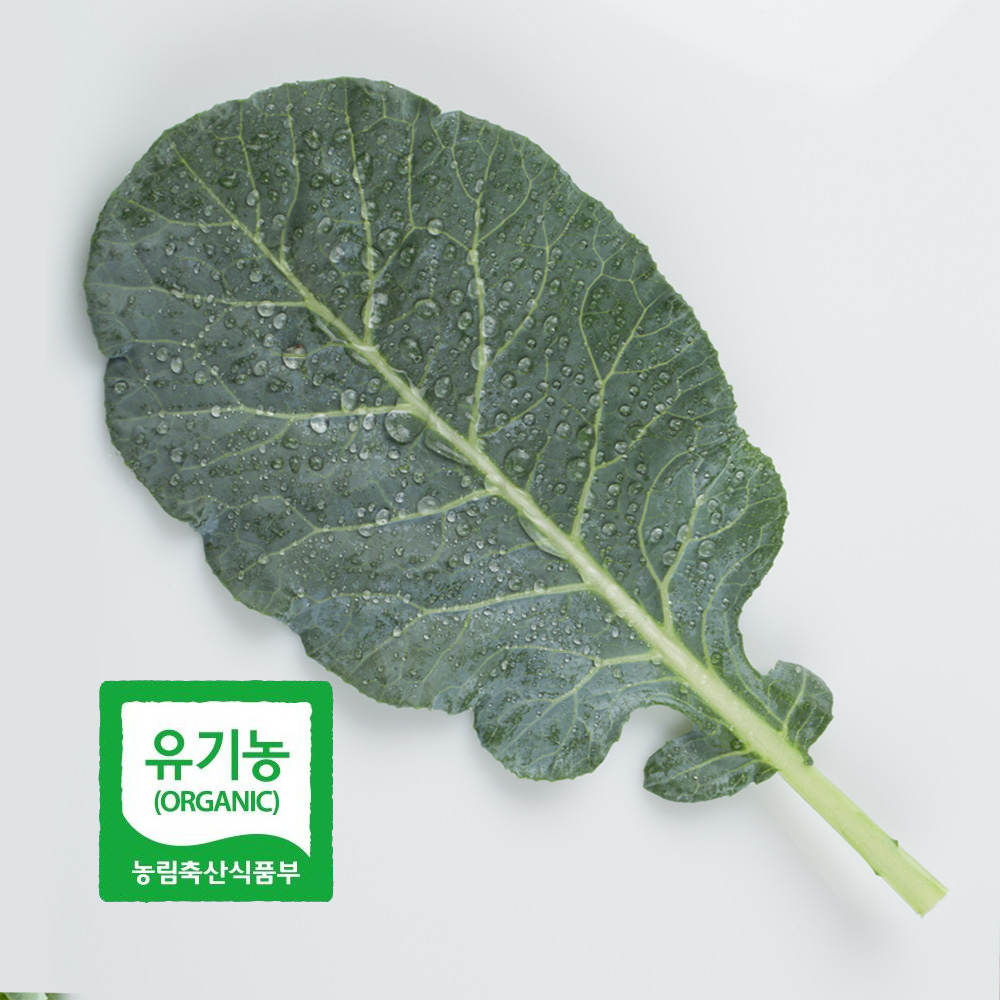 초록초록팜 국내산 유기농 케일 2kg 3kg 신선채소 산지직송 샐러드용 즙용 건강 야채 친환경 ZU