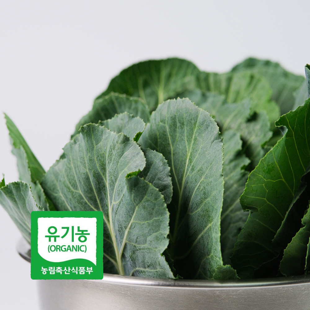 초록초록팜 국내산 유기농 케일 2kg 3kg 신선채소 산지직송 샐러드용 즙용 건강 야채 친환경 ZU