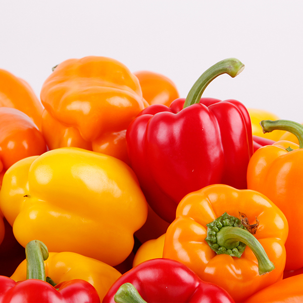 [햇땅] 국내산 파프리카 모음 1kg 3kg 5kg 택1