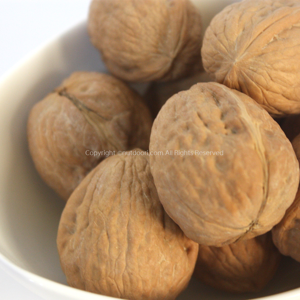 프리마베라 피호두 1kg 미국산 햇피호두 알호두