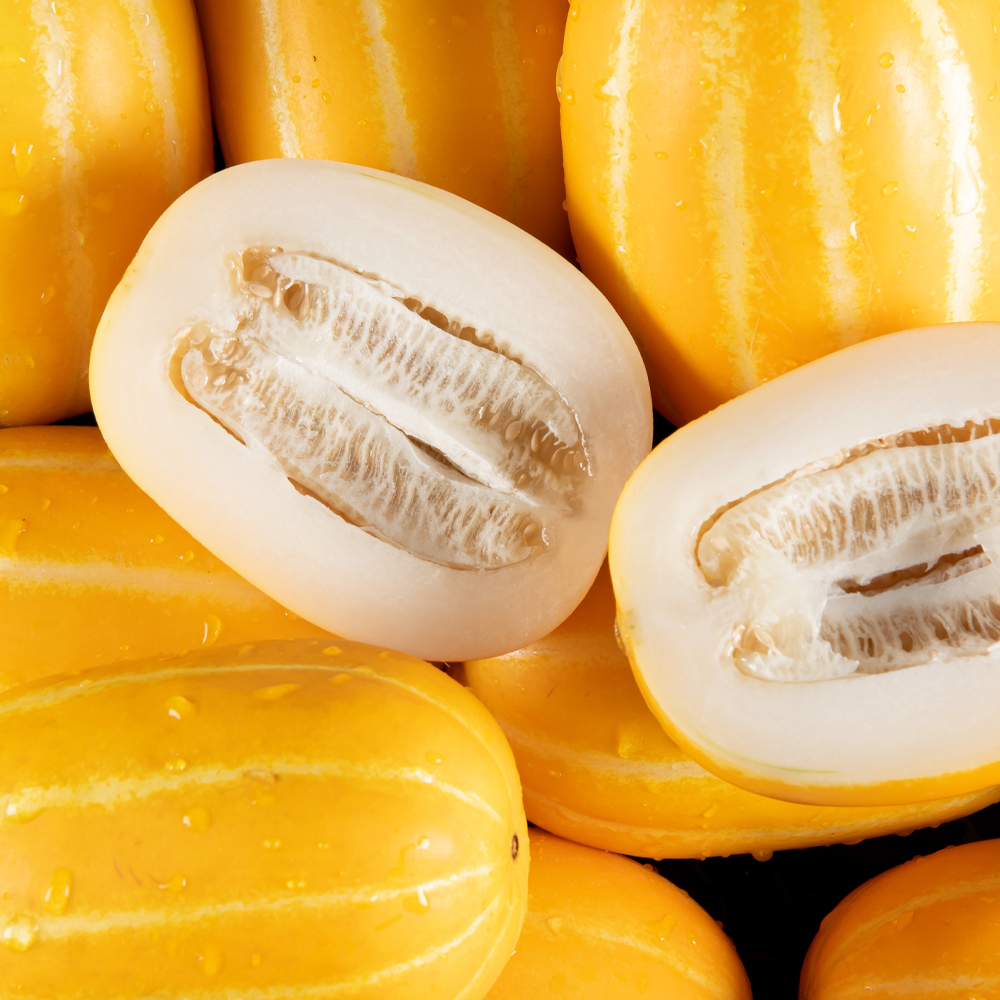 꿀참외 성주 참외 특품 2kg (5-8과) 산지직송 당도보장 LD 대표이미지 섬네일