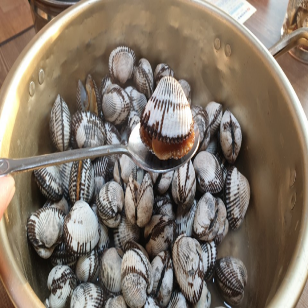 남해 벌교산 새꼬막 1kg 크기별 사이즈 선택 (대,상,중,소)