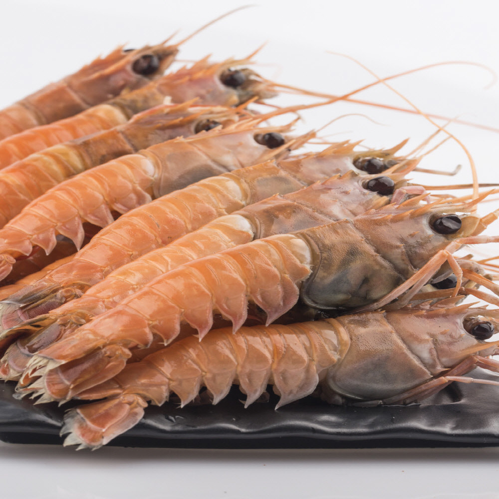 제주,여수 인근조업 횟감용 딱새우 회 150g 크기 별