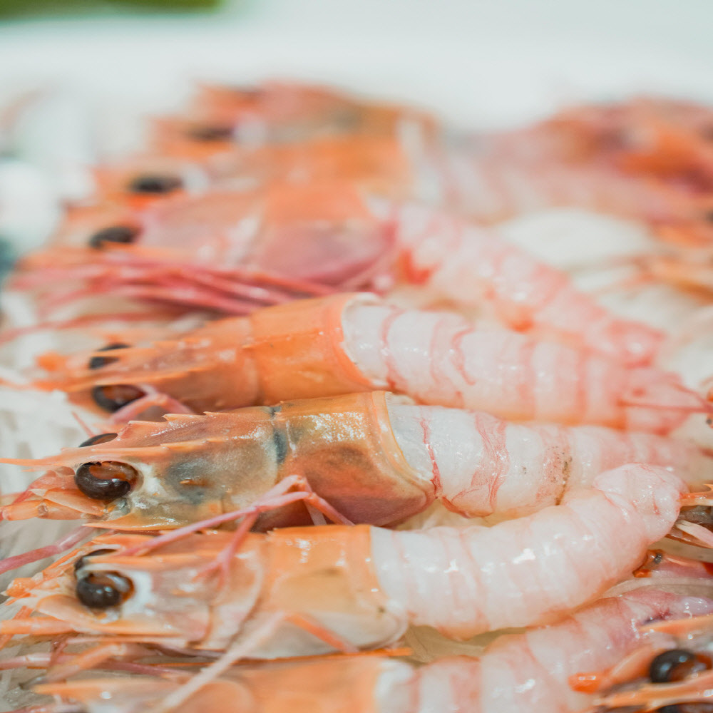 제주,여수 인근조업 횟감용 딱새우 회 150g 크기 별