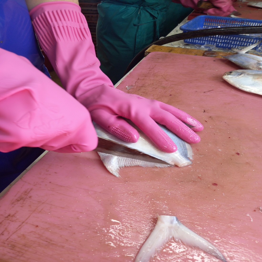 당일조업 남해 자연산 비손질 병어 1kg