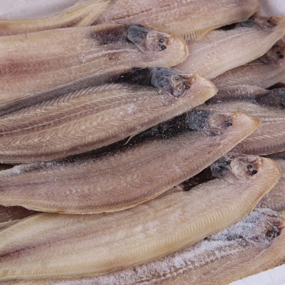 당일작업 반건조 황금 박대 생선구이 5미 1세트