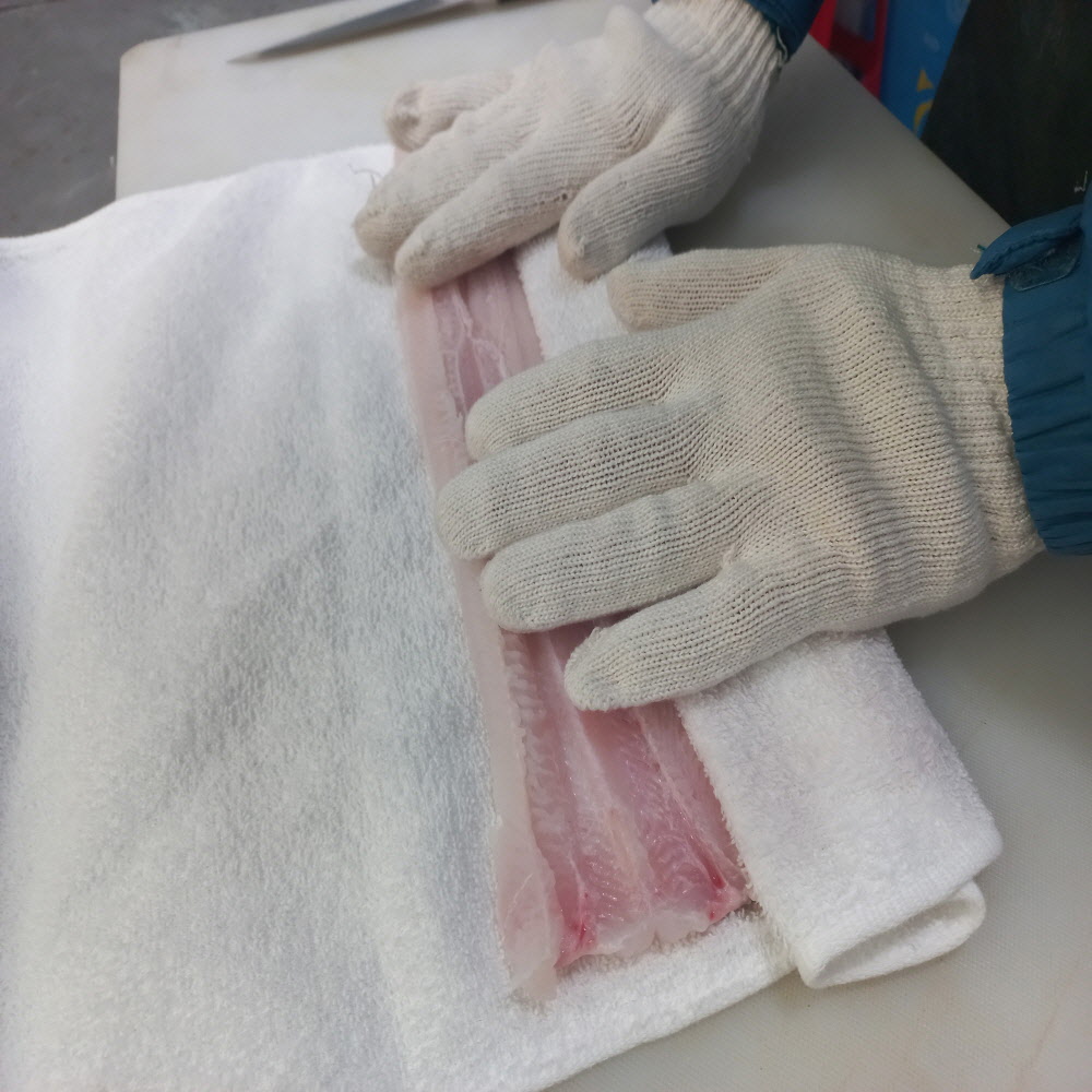 당일작업 아나고회 400g 순살 및 새꼬시 (원물 1kg) (붕장어,바닷장어 회)