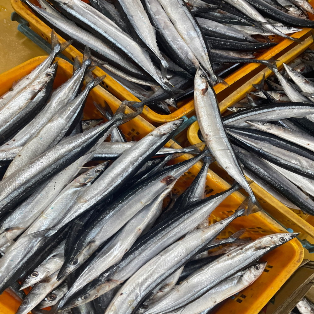 포항 구룡포 꽁치 과메기 5미/10미 손질,야채세트