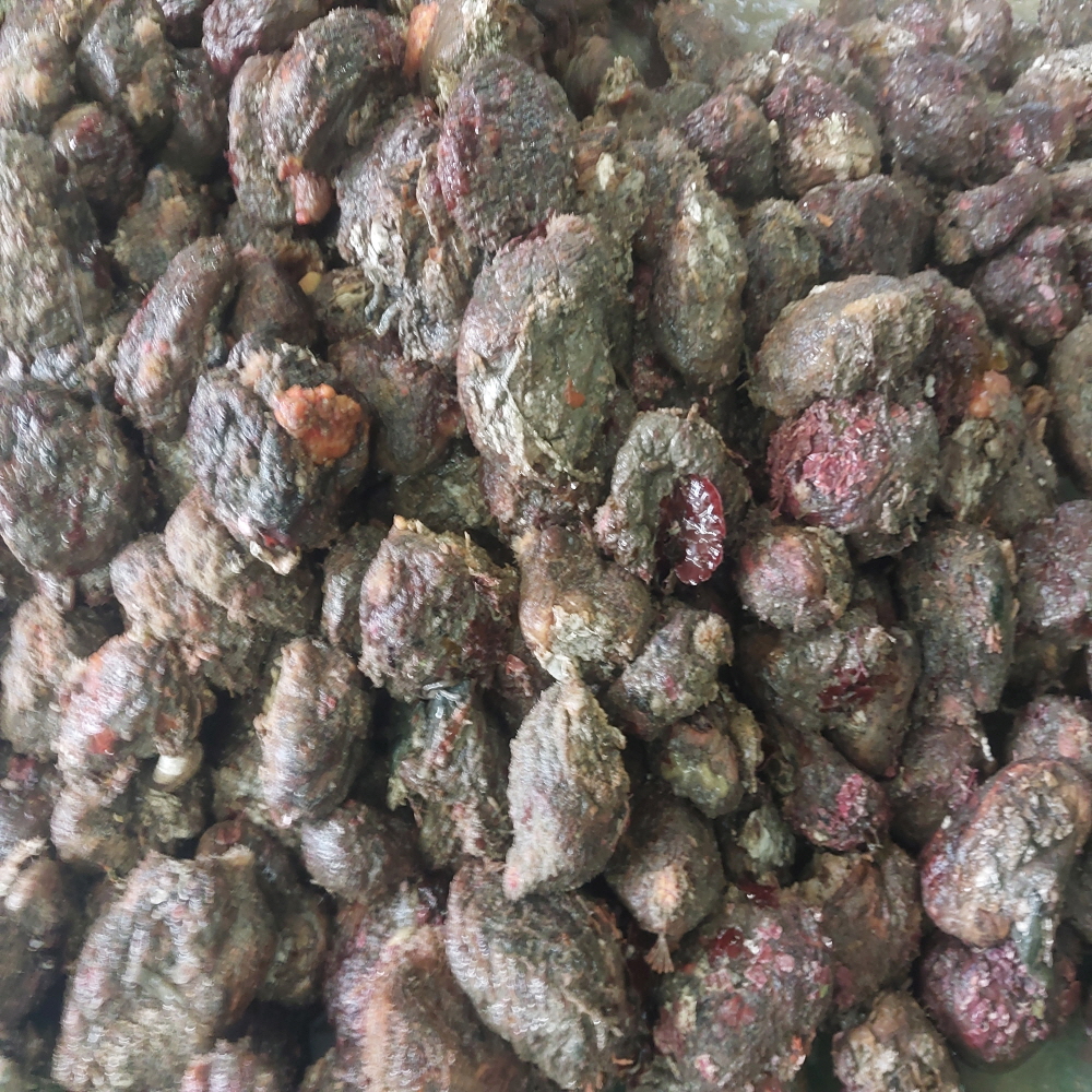 신선한 남해안 자연산 돌멍게 1kg 6~10미