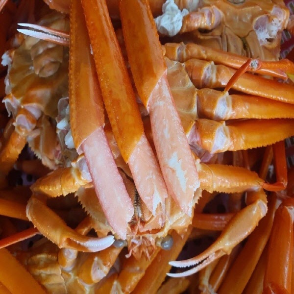 당일조업  자숙 박달 홍게 A급 3kg/4kg 수율 80 보장