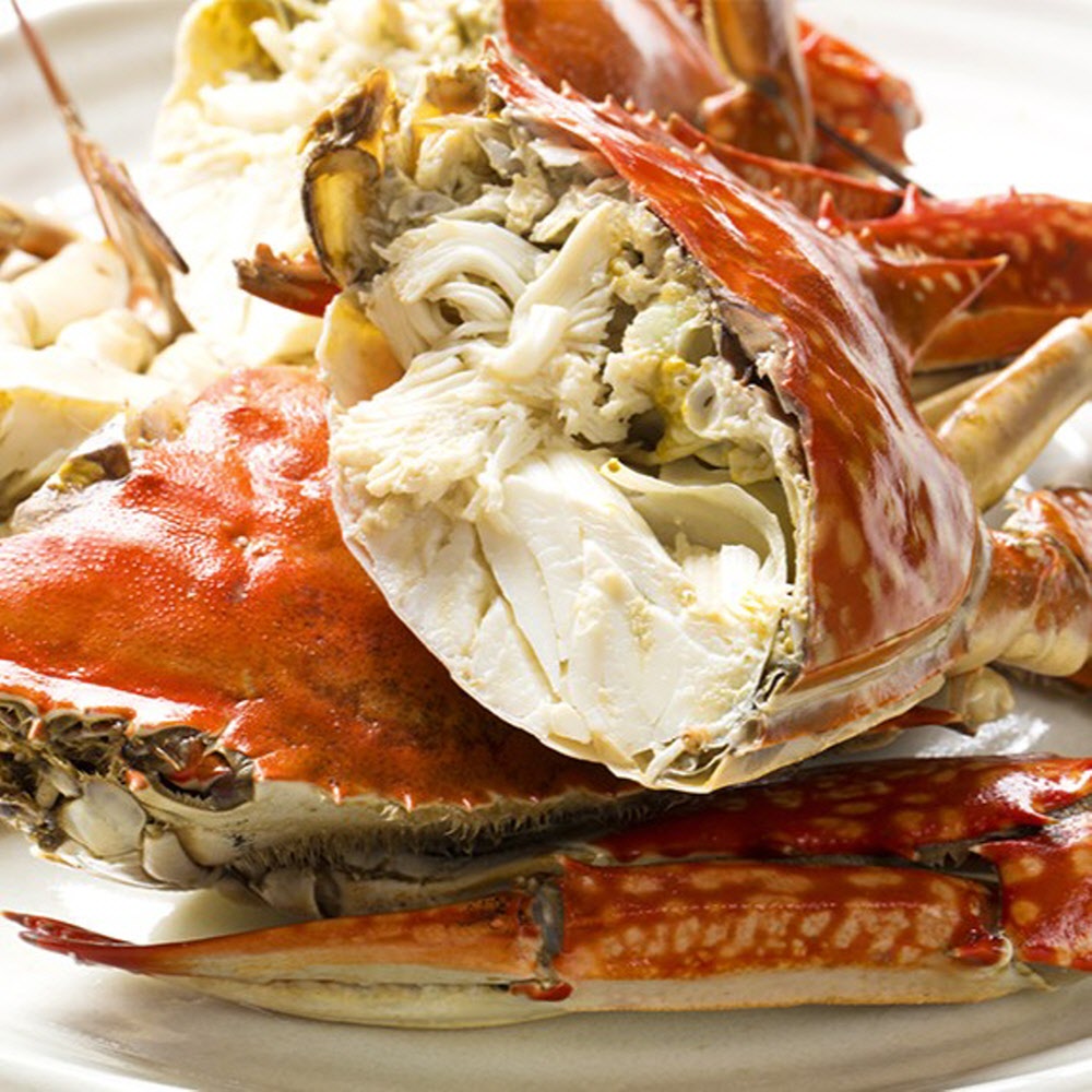 제철 국내산 가을 활 숫꽃게 1kg (kg당3-5미,얼음포장)