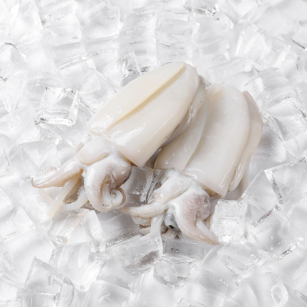 급냉 손질 갑오징어 500g 외 사이즈 별 골라담기