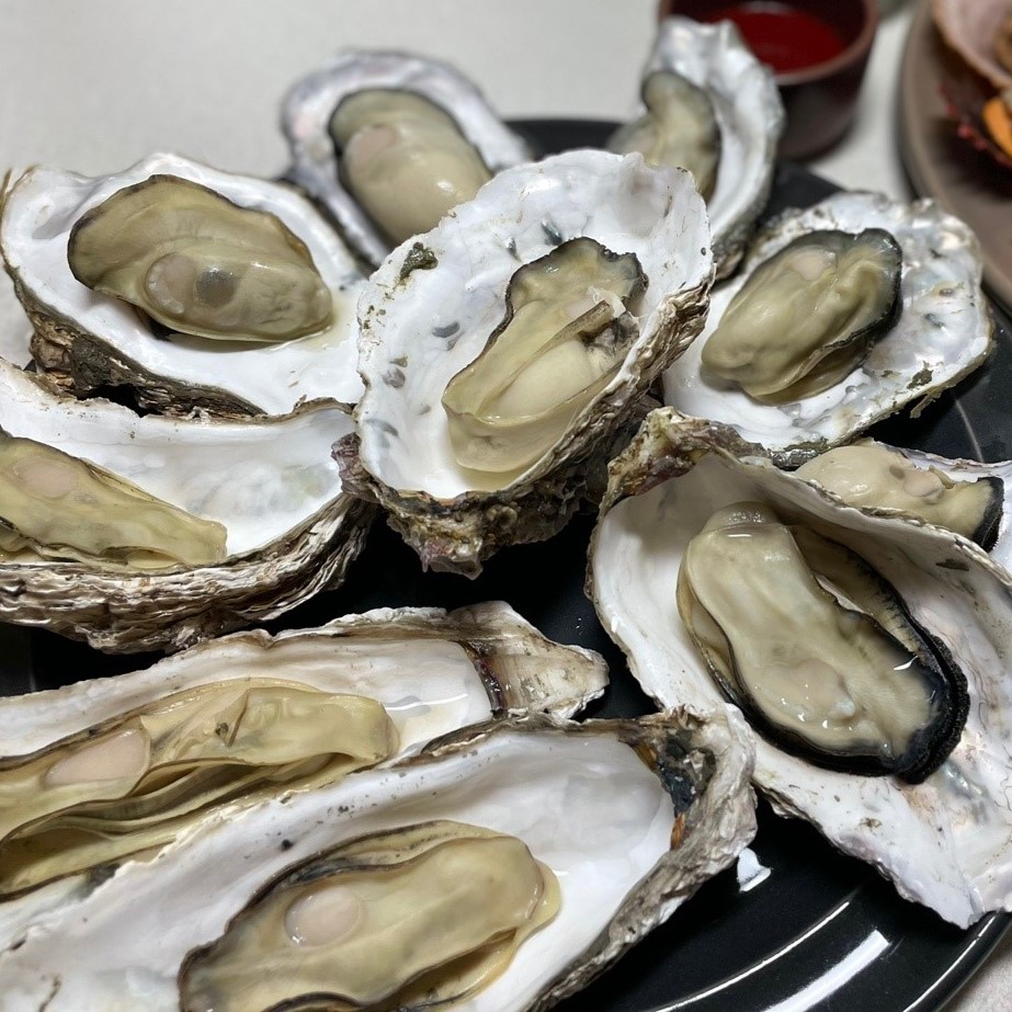 제철 산지직송 세척 석화 5kg/10kg