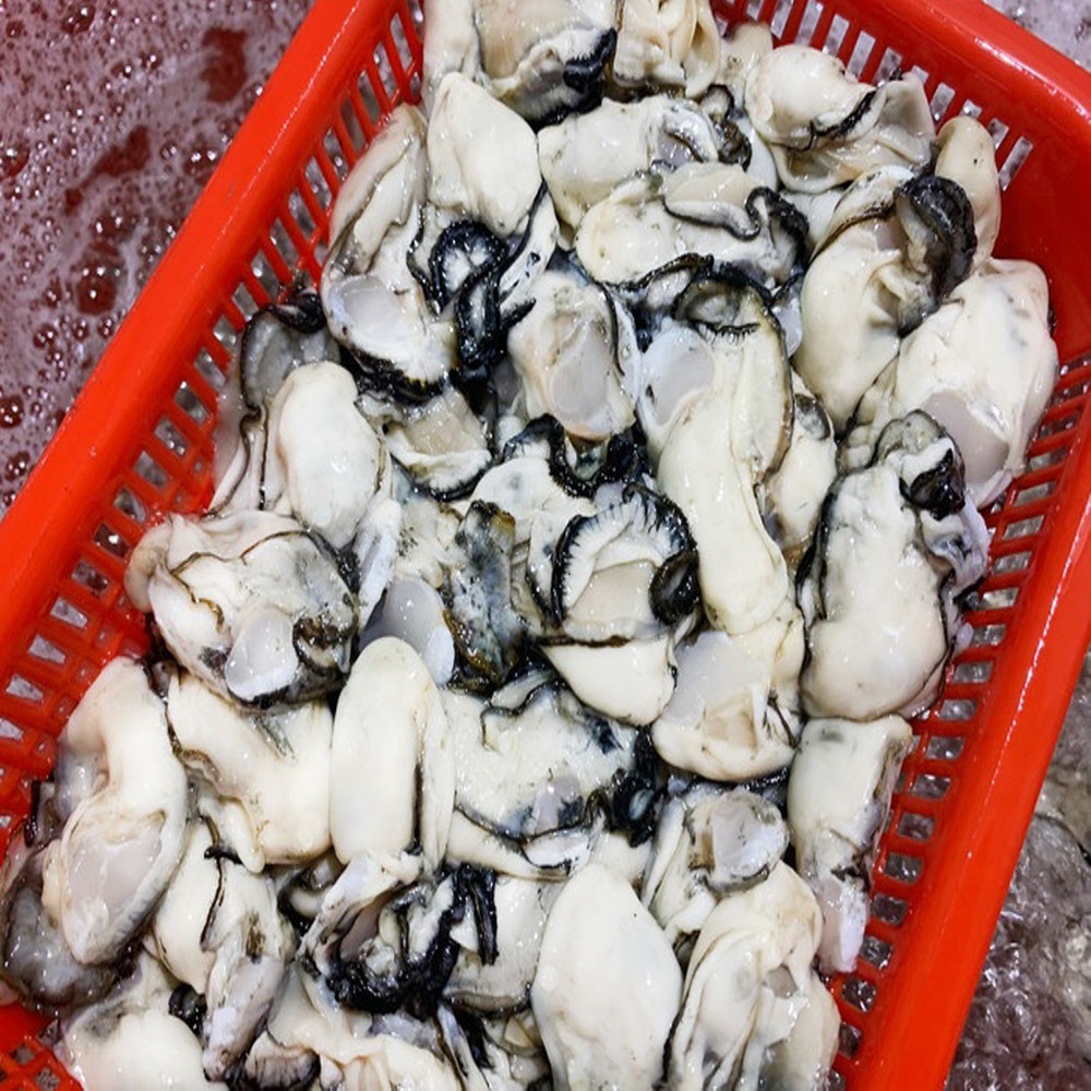 당일작업 통영 신선한 생굴 1kg 깐굴