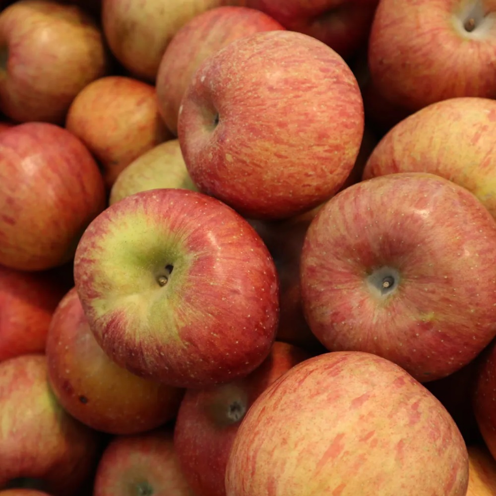 제철 가정용 청송 부사 사과 3kg/5kg/10kg