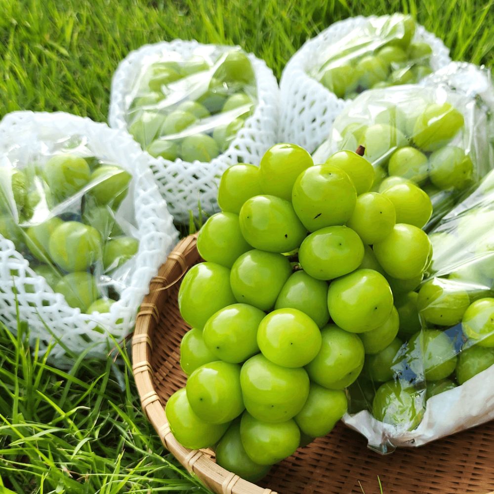 고당도 프리미엄 샤인머스켓 2kg 외