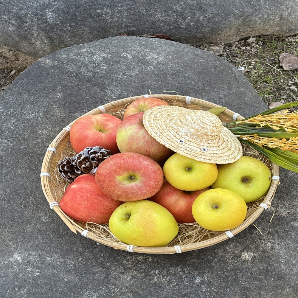 제철 정품 청송 부사 사과 3kg/5kg/10kg