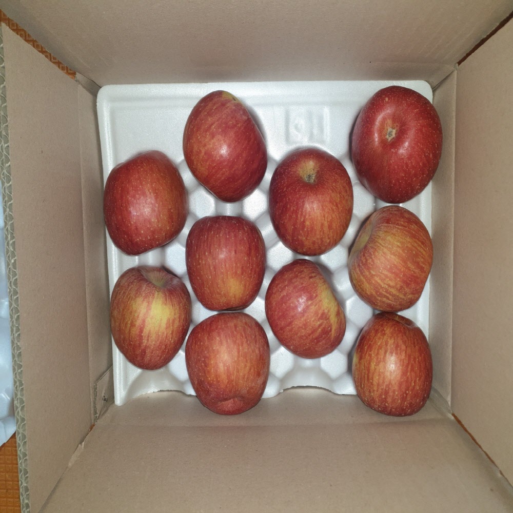 제철 정품 청송 부사 사과 3kg/5kg/10kg