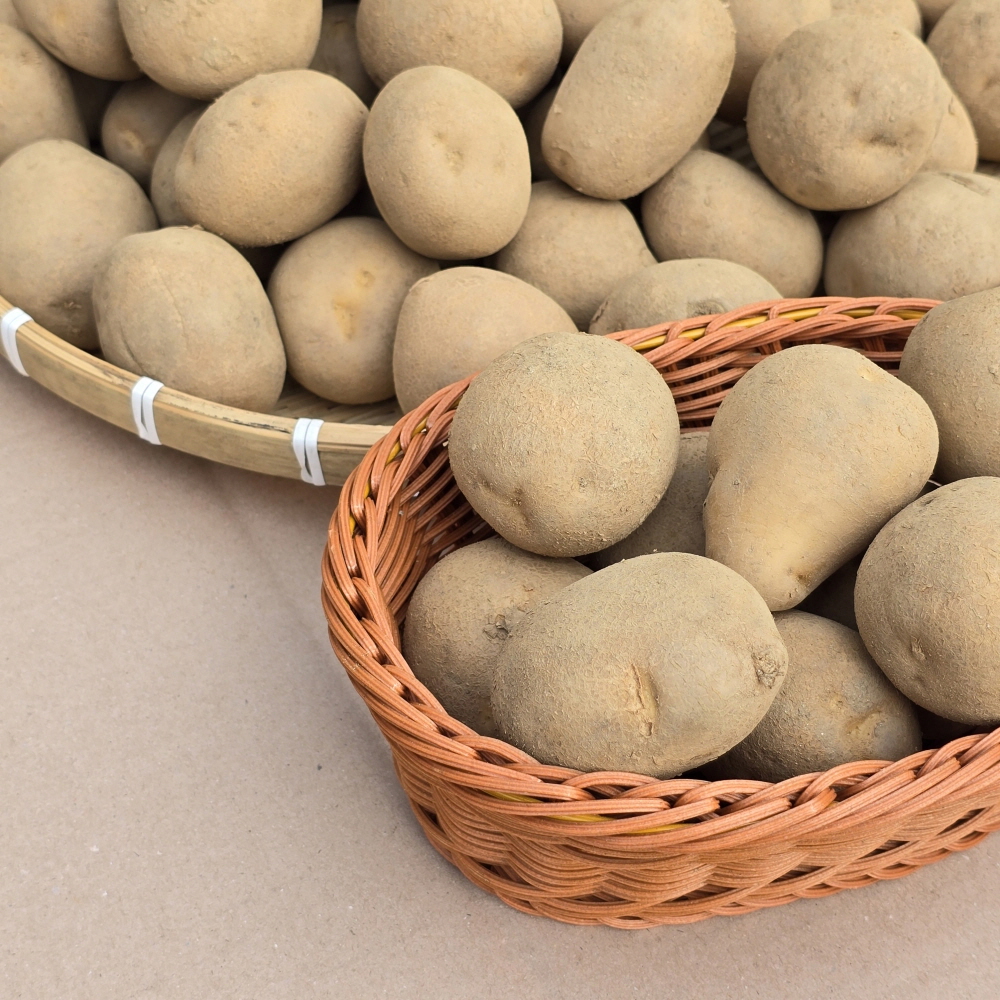 햇살맞은 햇 감자 수미 3,5kg