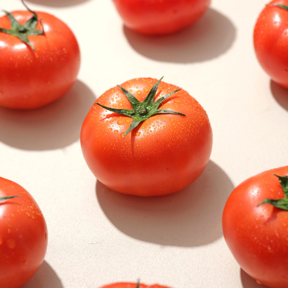 정품 아삭아삭 유럽종  완숙 토마토 랜덤과 2kg/5kg