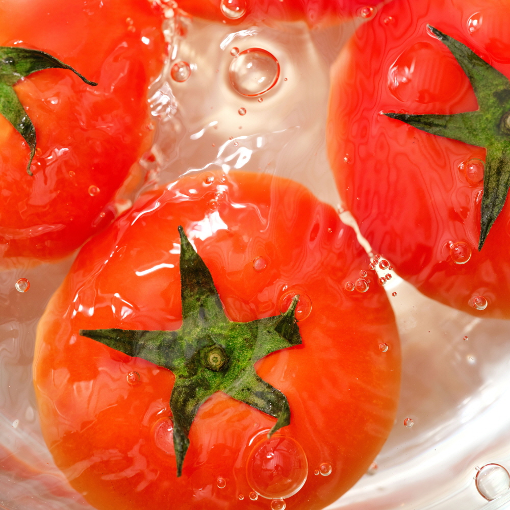 정품 아삭아삭 유럽종  완숙 토마토 랜덤과 2kg/5kg