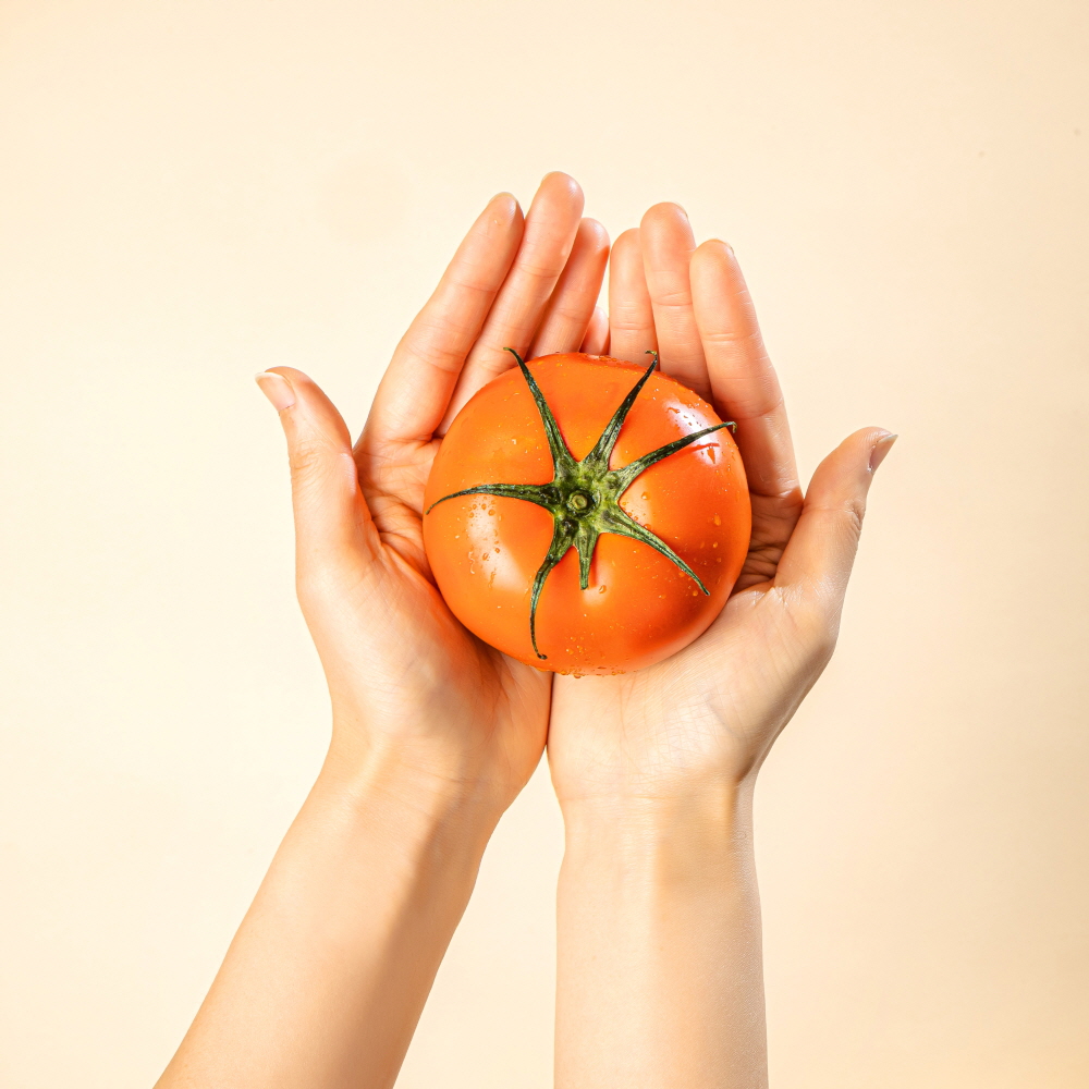 정품 아삭아삭 유럽종  완숙 토마토 랜덤과 2kg/5kg