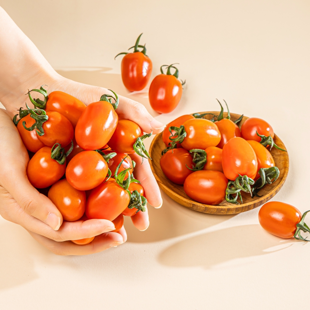 정품 아삭아삭 부여 대추 방울  토마토 1-3번 로얄과 2,5kg