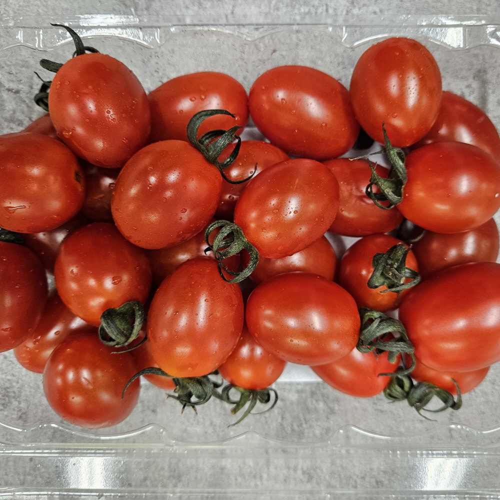 농협 스테비아 대추 방울 토마토 1kg/2kg