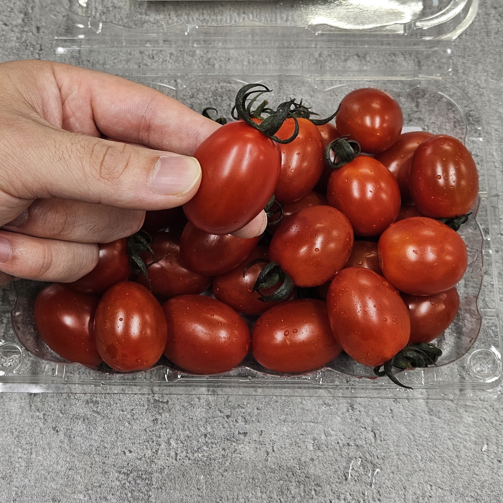 농협 스테비아 대추 방울 토마토 1kg/2kg