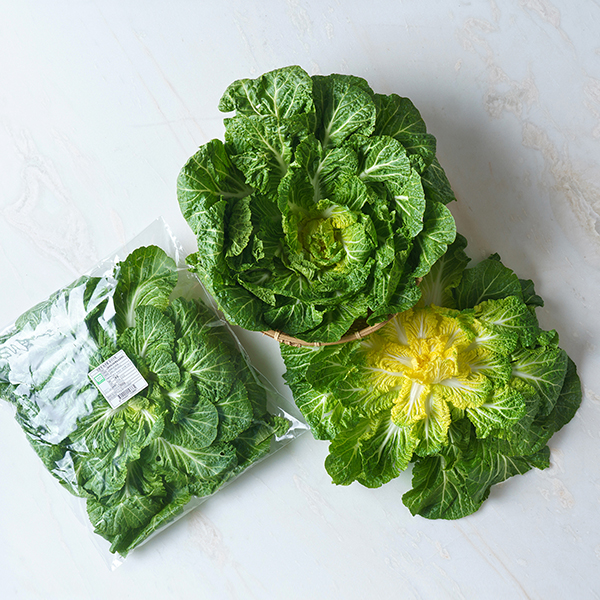 진도 봄동/무농약 (800g내외)