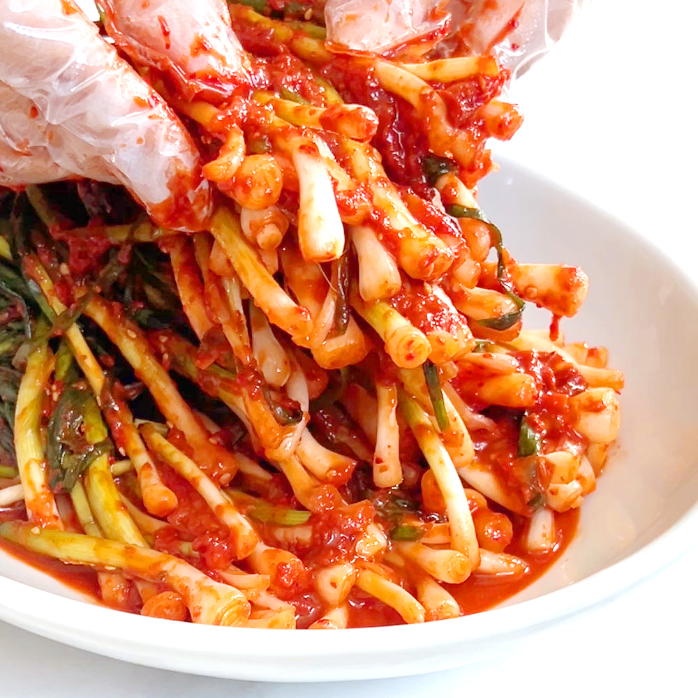 매콤달콤 알싸한 김치 밥도둑 전라도식 파김치