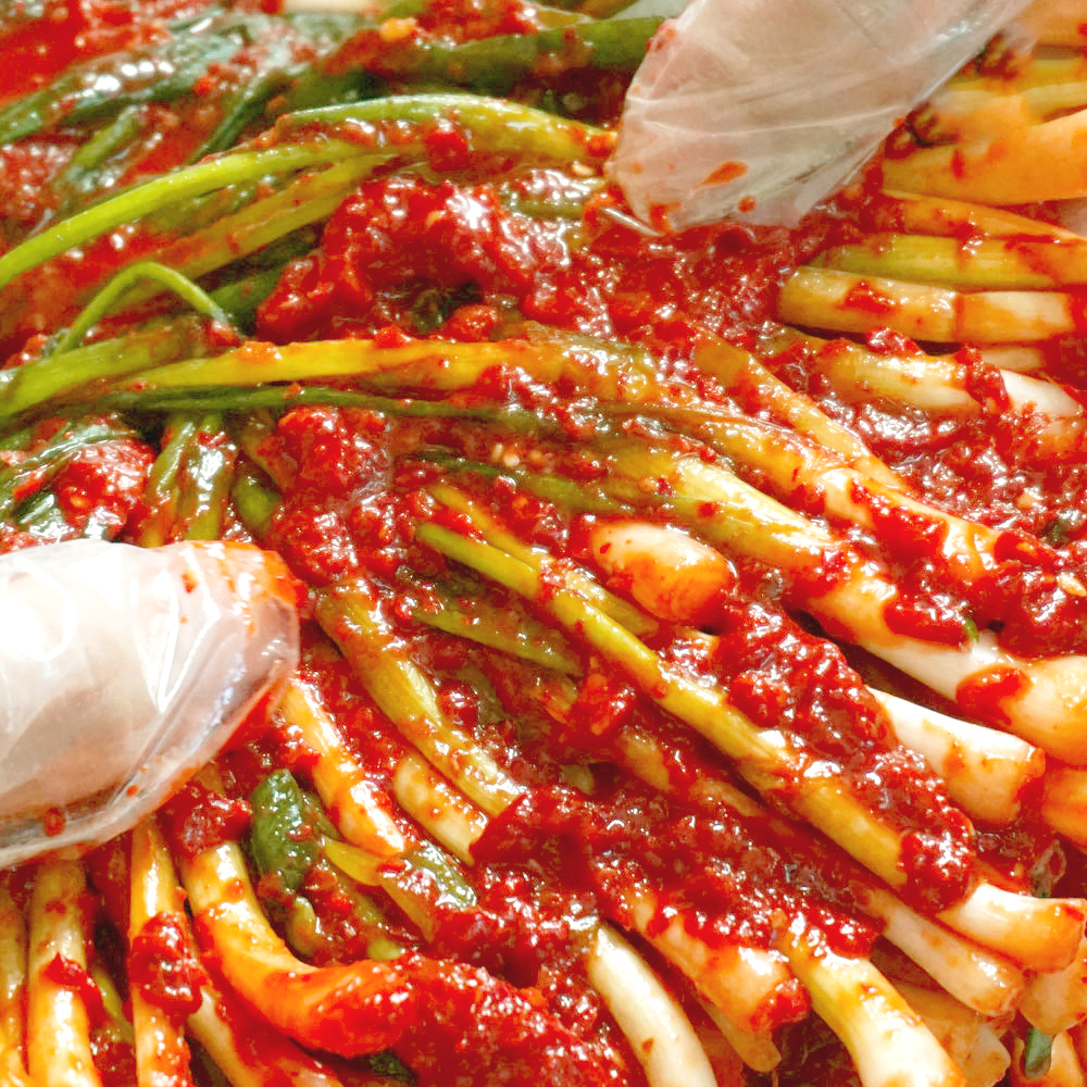 매콤달콤 알싸한 김치 밥도둑 전라도식 파김치