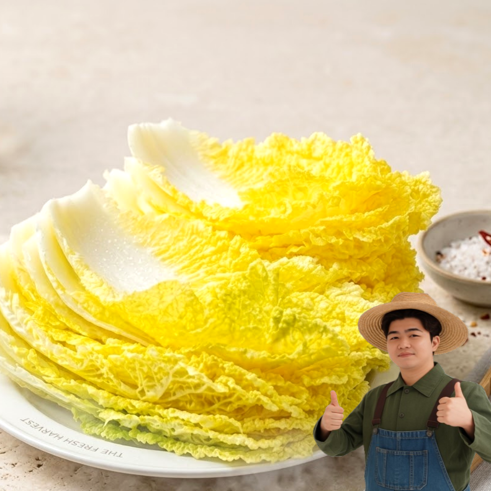 천산지유 전라도 국산 알배기 쌈배추,1kg~2kg