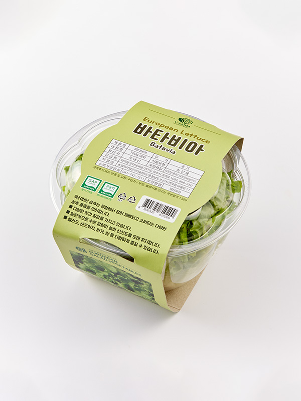 신규_GAP 무농약 바타비아(카이피라)