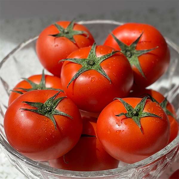[오커캄스] 완숙 토마토 2kg 3kg 5kg 1~3번