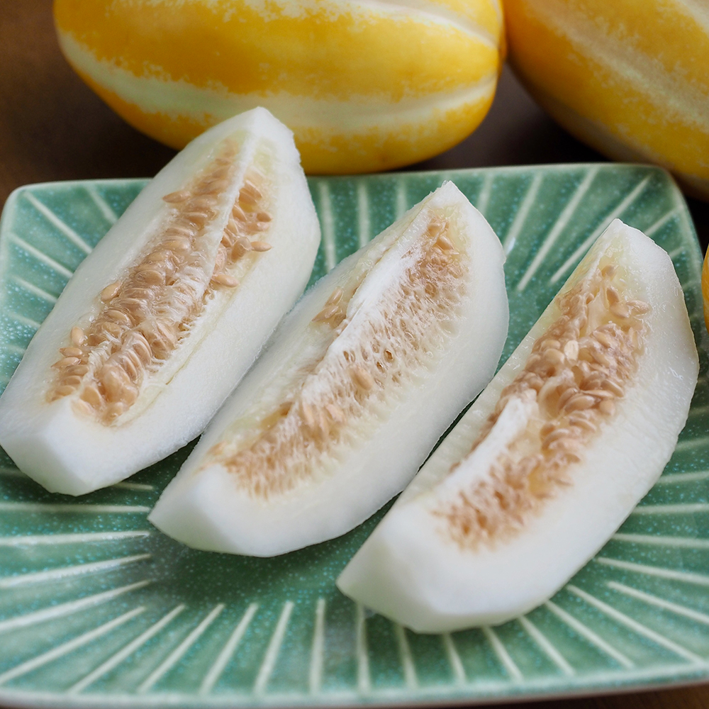 성주참외 산지직송 당도선별 가정용 참외 2.5kg 4.5kg