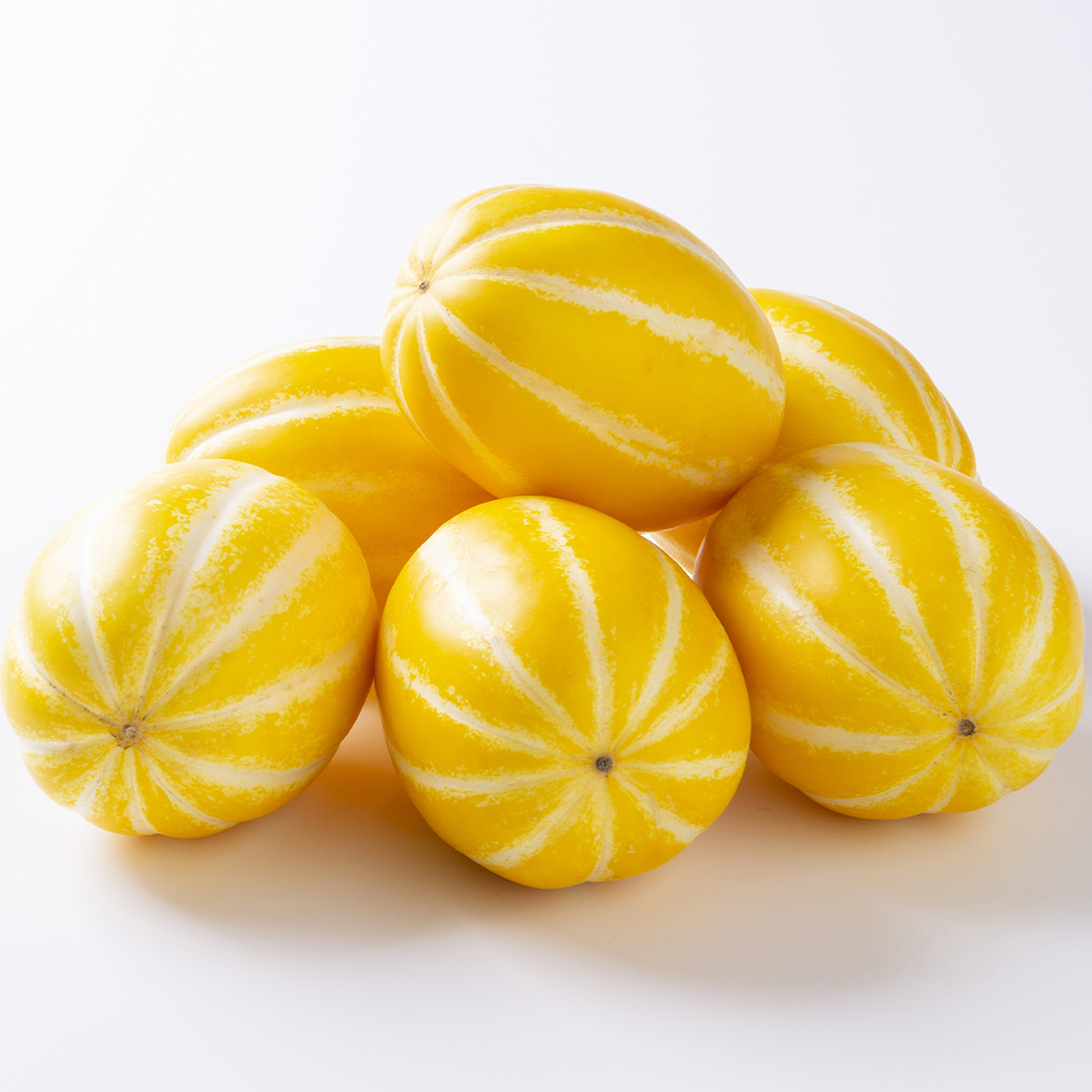 성주참외 산지직송 당도선별 가정용 참외 2.5kg 4.5kg