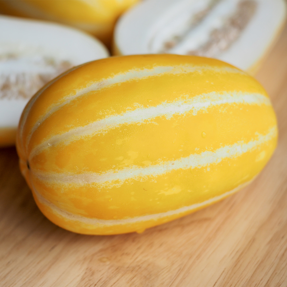 성주참외 산지직송 당도선별 가정용 참외 2.5kg 4.5kg