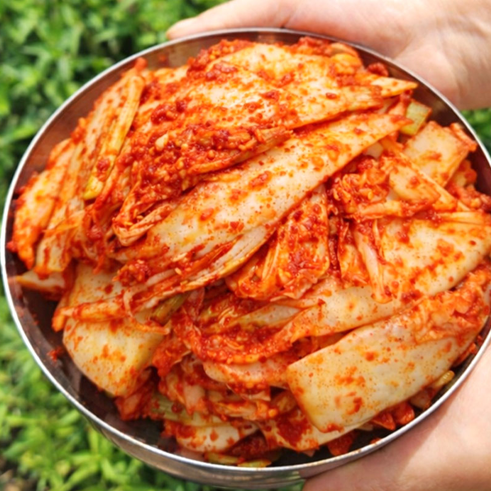 외할머니 손맛 전통명가 갓담은 시원한 알배기 겉절이 2kg 4kg