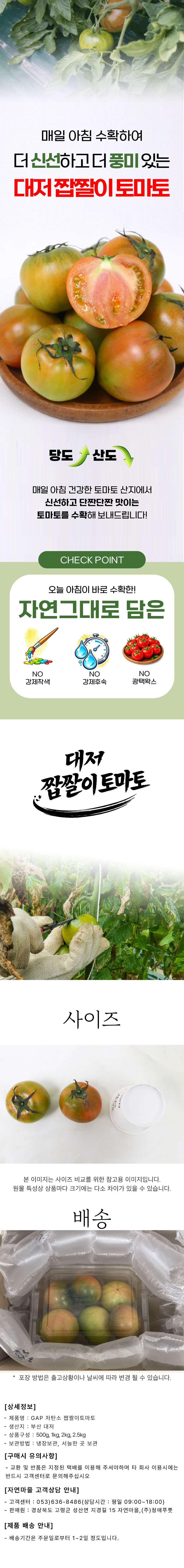 GAP 저탄소 대저 짭짤이 토마토